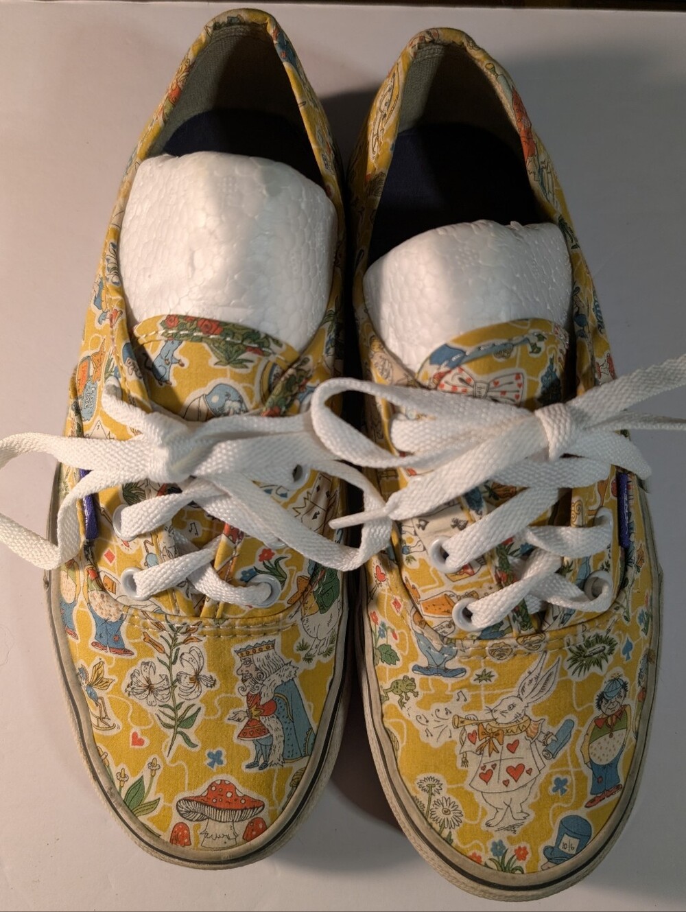 Vans x Disney Alice in Wonderland Authentic Sneakers - Rare Collector’s Edition